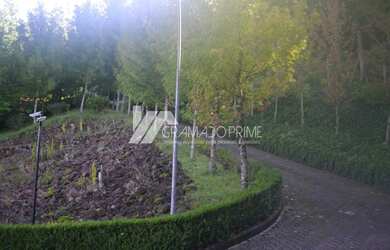 Imagem 9: ÓTIMO SÍTIO EM GRAMADO PARA SE INVESTIR