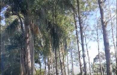 Imagem 4: São João do Sul - Casa Padrão - Zona Rural