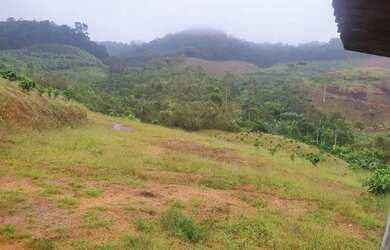 Imagem: O terreno possui 25.000m² de Área e está localizado em Campo