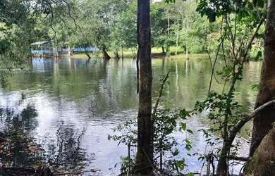 Imagem 6: SOMENTE VENDA. 1.250m² de Área