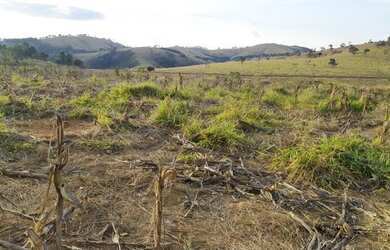 Imagem: O terreno possui 30.000m² de Área e está localizado em Piracema