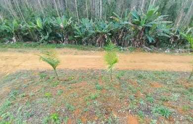 Imagem 4: Terreno 1.250 metros santa Teresa em valsugana velha atrás do hospital