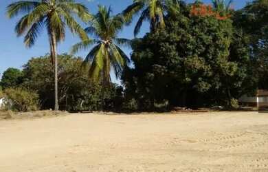 Imagem 8: Fazenda para Venda em Centro Bonfinópolis de Minas-MG - 3037