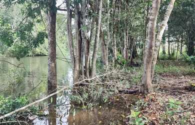 Imagem 3: SOMENTE VENDA. 1.250m² de Área