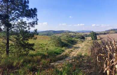 Imagem: O terreno possui 600m² de Área e está localizado em Vila