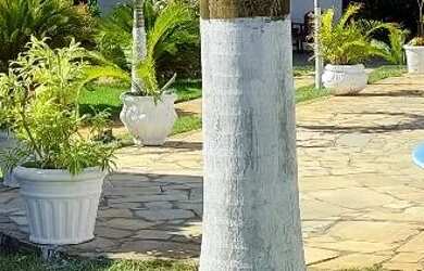 Imagem: A casa possui 5 Dormitórios, Acomodam 20 pessoas, 5 Vagas na