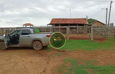 Imagem 11: 197 Alqueires Novo Brasil