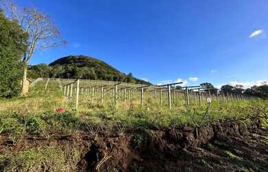 Imagem 2: Sitio - Bairro Tapera. 70.000m² de Área