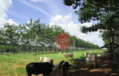 Imagem 4: Fazenda com 1 dormitório à venda, 8820000 m² por R$ 22.000.000,00 -...