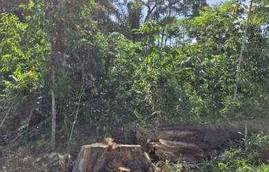 Imagem: O terreno possui 300m² de Área e está localizado em São