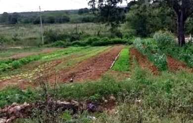 Imagem 7: Chácara. 12.000m² de Área