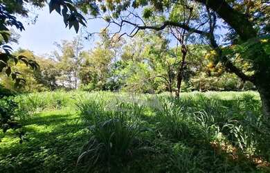 Imagem 6: Terreno à venda em Campinas, Condomínio Chácaras do Alto da Nova Campinas,...