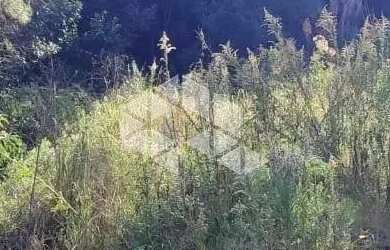 Imagem 5: Compra Terreno 377m² em São Virgilío por Preço Reduzido