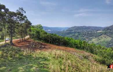 Imagem 7: Sítio / Chácara para Venda em Nova Petrópolis, Linha Brasil Fundos