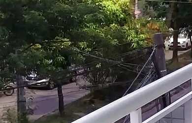 Imagem: O apartamento possui 2 Dormitórios, 1 Banheiro, 59m² de Área