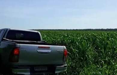 Imagem 10: Fazenda para Venda em Centro Bonfinópolis de Minas-MG - 3037