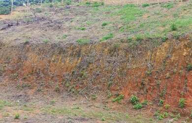 Imagem 7: Terreno 1.250 metros santa Teresa em valsugana velha atrás do hospital