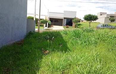Imagem 3: Vende-se Lote condomínio fechado Bonfim paulista