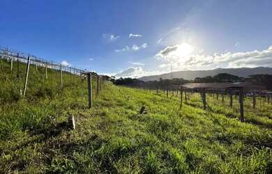 Imagem: A fazenda possui 70.000m² de Área e está localizado em Gramado