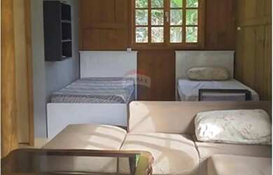 Imagem 7: LINDA CHÁCARA 1.100m2 COM CASA - TRANQUILIDADE, NATUREZA, ÁRVORES FRUTÍFERAS