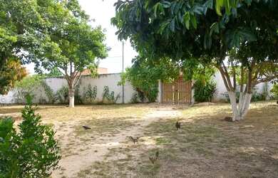 Imagem: A fazenda possui 2.122m² de Área e está localizado em Catu