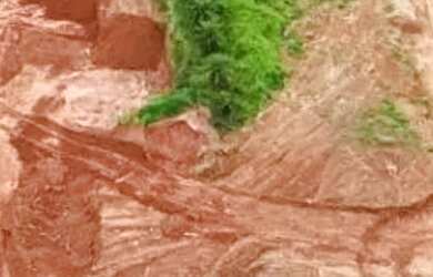 Imagem 2: AREA - ITAPETINGA - SP. 95.000m² de Área