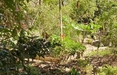 Imagem 8: SITIO RURAL em PORTO FELIZ - SP, porto