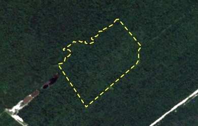 Imagem 1: Área à venda, 450814 m² por R$ 6.800.000,00 - Atami - Pontal do Paraná/PR