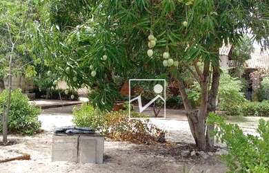 Imagem 9: Terreno, 1990 m² - venda por R$ 3.500.000,00 ou aluguel por R$ 9.000,00/mês...