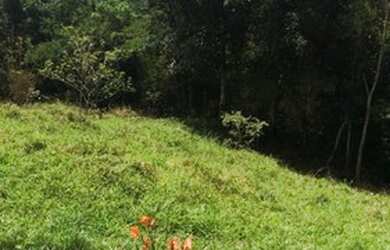 Imagem: A fazenda possui 350.000m² de Área e está localizado em