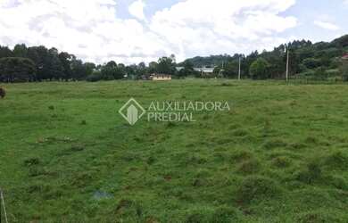 Imagem 4: Propriedade Rural no bairro Serra Grande