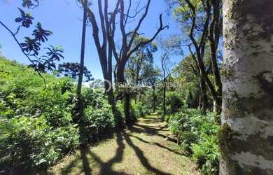 Imagem 10: AREA DE TERRAS COM VISTA DA MONTANHA