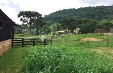 Imagem 14: Propriedade Rural no bairro Serra Grande
