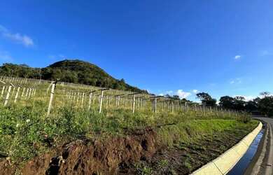 Imagem 3: Sitio - Bairro Tapera. 70.000m² de Área