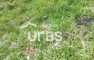 Imagem 5: ÁREA À VENDA FRENTE AO ANEL VIÁRIO 506m²