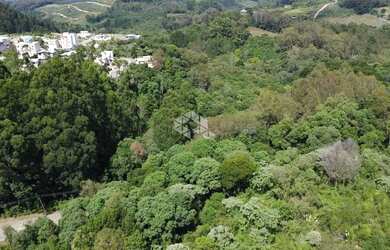 Imagem 8: Terreno no bairro Forqueta em Caxias do Sul