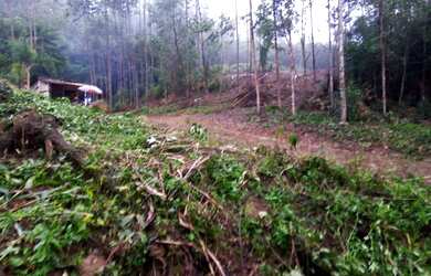 Imagem: A chácara possui 3.000m² de Área e está localizado em Centro