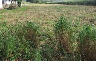 Imagem 4: Terreno, 55350 m² - venda por R$ 3.900.000,00 ou aluguel por R$ 5.000,00/mês...