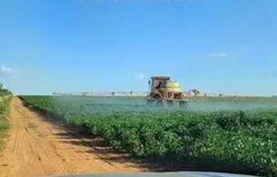 Imagem: A fazenda e está localizado em Engenheiro Carlos de Lacerda