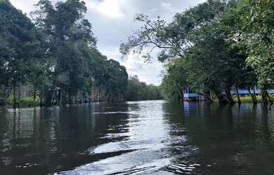 Imagem 7: SOMENTE VENDA. 1.250m² de Área