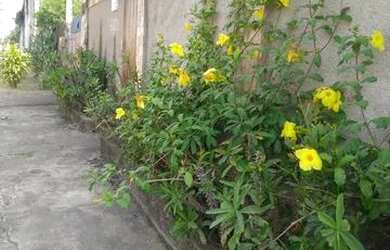 Imagem: A casa possui 4 Dormitórios, 3 Banheiros, 3 Vagas na garagem