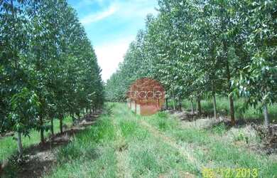 Imagem: A fazenda possui 8.820.000m² de Área e está localizado em