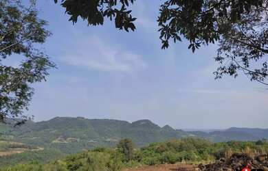 Imagem 10: Sítio / Chácara para Venda em Nova Petrópolis, Linha Brasil Fundos