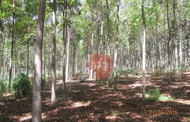 Imagem 7: Fazenda com 1 dormitório à venda, 8820000 m² por R$ 22.000.000,00 -...