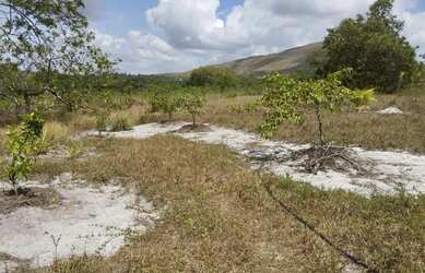 Imagem 8: Sitio à venda. 
