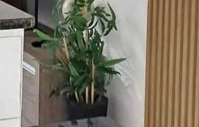 Imagem: A casa possui 3 Dormitórios, 2 Banheiros, 2 Vagas na garagem