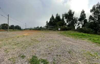 Imagem 5: CAXIAS DO SUL - Terreno Padrão - VILLAGIO IGUATEMI