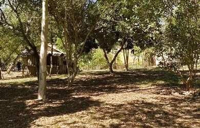 Imagem 3: SITIO RURAL em PORTO FELIZ - SP, porto