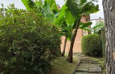 Imagem 15: SãO PAULO - Casa Padrão - Jandira