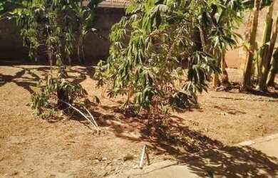 Imagem: A casa possui 3 Dormitórios, 1 Banheiro, 1 Vaga na garagem